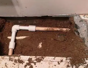 澄城测漏水哪家好