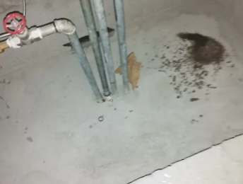 澄城卫生间测漏水价格明细