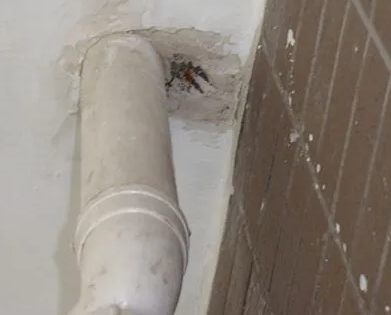 澄城漏水检测哪家好